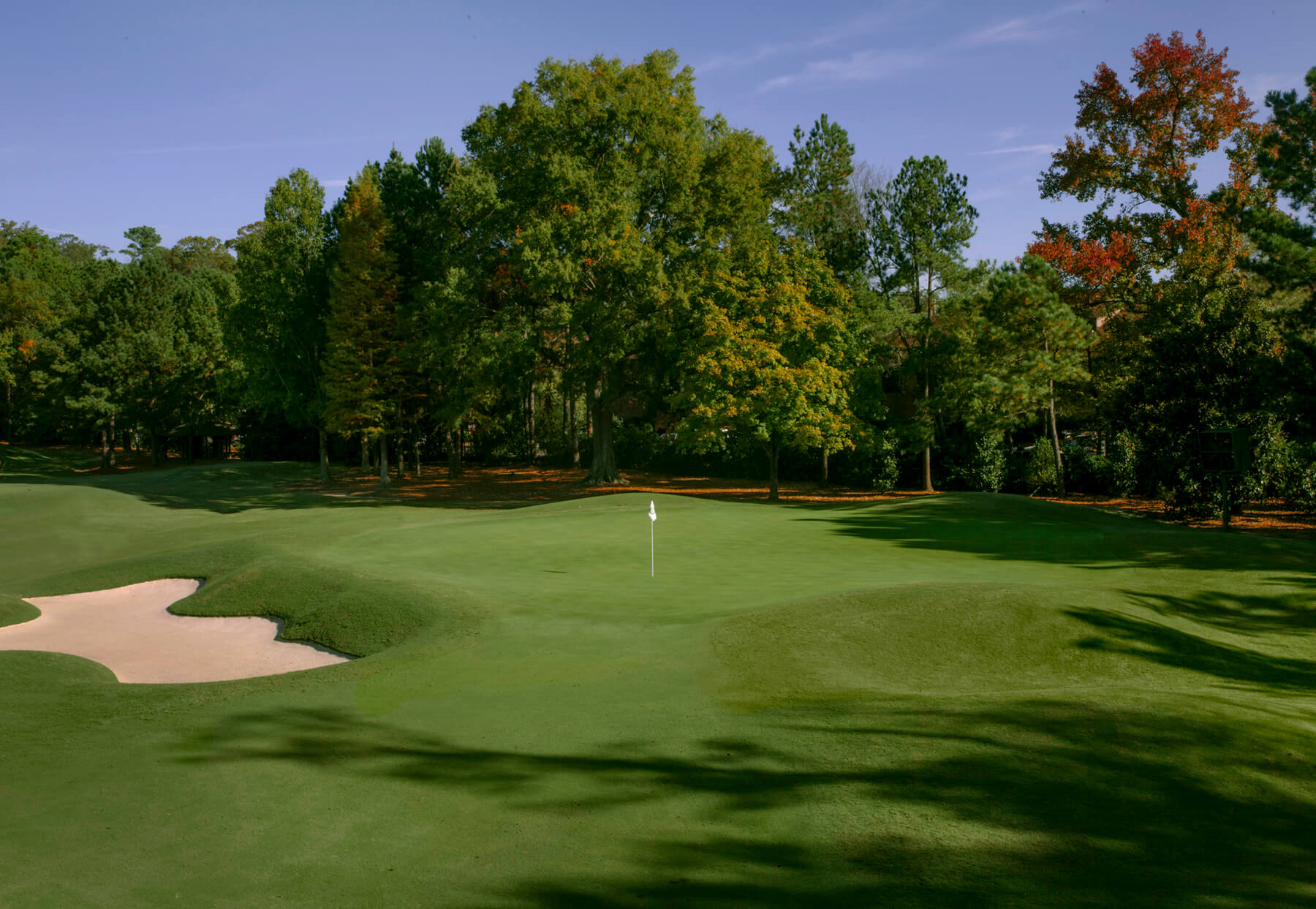 Behind the Greens